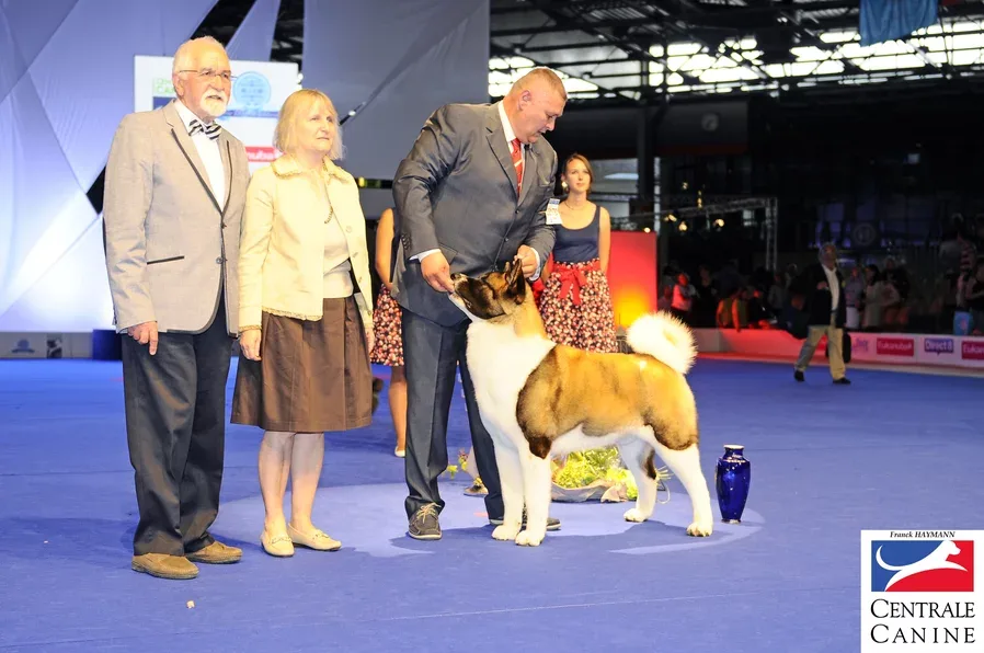 Germany Dog Contest, 2026.